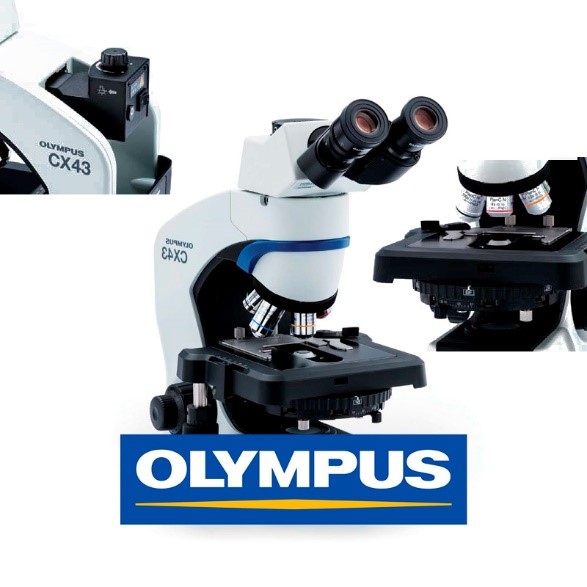 Микроскоп Olympus CX43 для ветеринарии